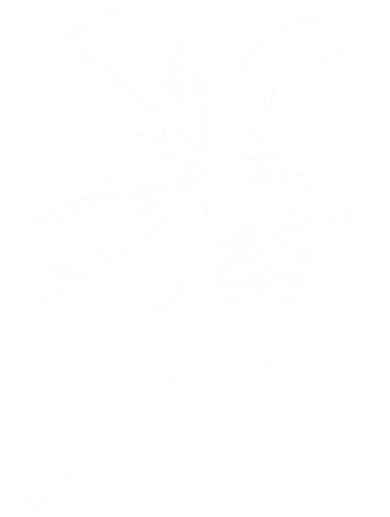 Irish 4 Leaf Clover Shamrock Ireland Vacation Travel Green Cool Gift Kids T-Shirt