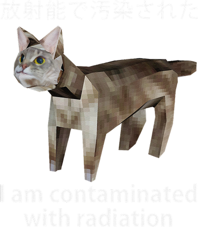 I Am Contaminated With Radiation Japanese Cat Meme Gift Women's T-Shirt