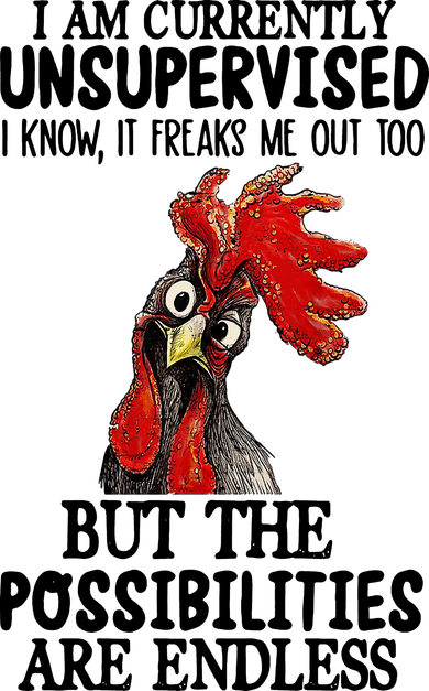 I Am Currently Unsupervised Chicken Rooster Funny Kids Sweatshirt