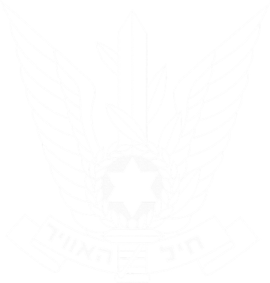 Israeli Air Force IDF Israel Pilot Military  Women's Hoodie