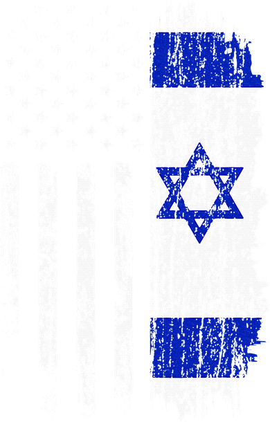 Israeli American Flag Pride Israel USA Israeli Toddler Hoodie