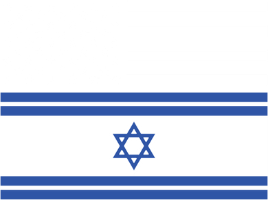 Israeli American Flag Kids Sweatshirt