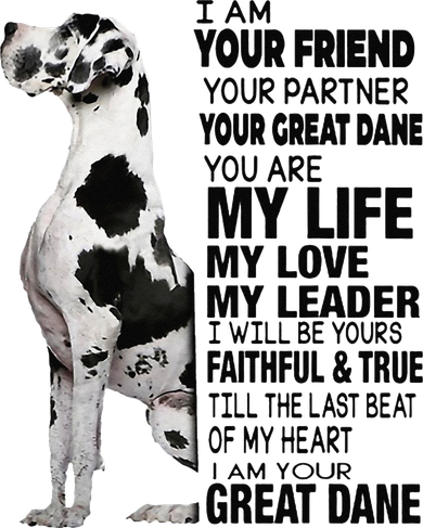 I Am Your Friend Your Partner Your Great Dane Kids T-Shirt