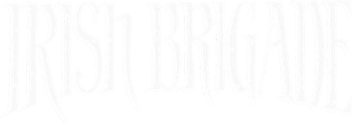 Irish Brigade Civil War Button