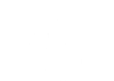Im Briar Doing Briar Things Kids T-Shirt