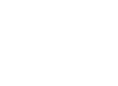 ICE Immigration Long Sleeve Shirt