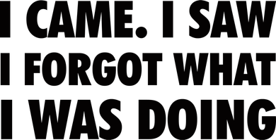 I Came I Saw I Forgot What I Was Doing Sarcastic Backpack