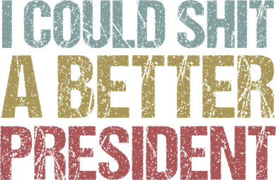 I Could Shit A Better President Funny Anti Trump Protest Women's Long Sleeve Shirt