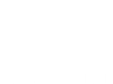 I Do All My Own Stunts Funny Golfer Santa Hat