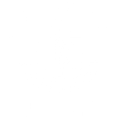 Israel Defense Forces Jewish Star Women's Hoodie