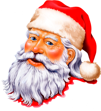 Funny Santa Claus I Do It For The HO'S Christmas T-Shirt
