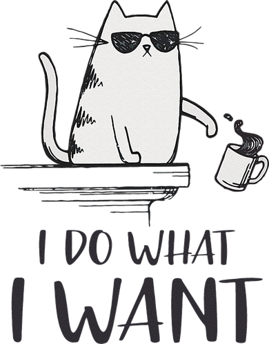 I Do What I Want Funny Cat Lovers Toddler Hoodie