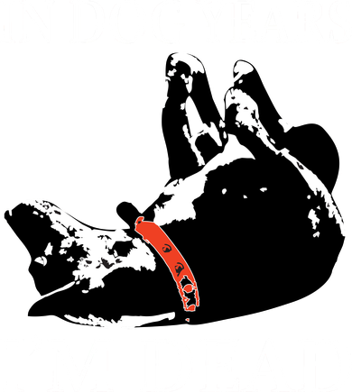 In Dog Years I'm Dead Funny Birthday Women's Sweatshirt