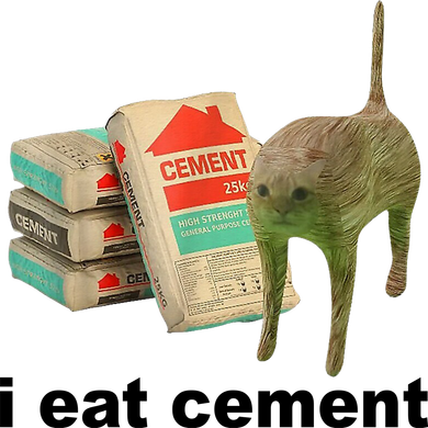 I Eat Cement Cursed Cat Funny Women's Long Sleeve Shirt
