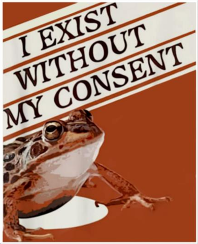 I Exist Without My Consent Frog Kids Sweatshirt
