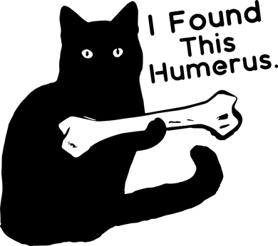 I Found This Humerus Black Cat My Pet Cute Cat Kids Hoodie