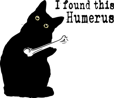 I Found This Humerus Humorous, Cat Lover Kids Hoodie