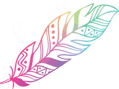 Indigenous Feather Tee Native American Cherokee Tribe Women's Long Sleeve Shirt