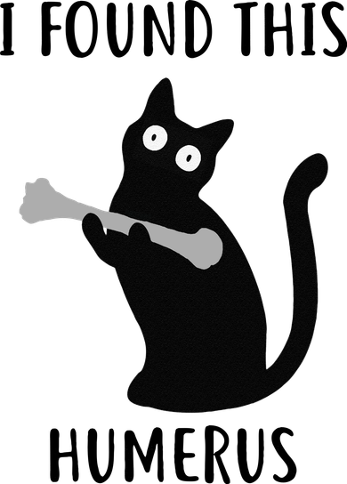 I Found This Humerus Funny Black Cat Kids Hoodie