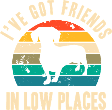 IVe Got Friends In Low Places Funny Dachshund Vintage Gift Kids T-Shirt