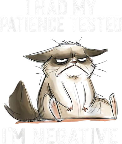 I Had My Patience Tested I'm Negative Cat Funny Sarcasm T-Shirt