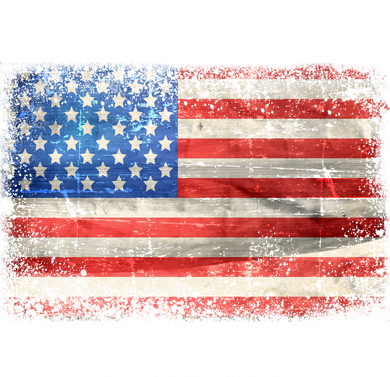 I Identify As NonBidenary Shirt Funny Anti Biden Hooded Wearable Blanket