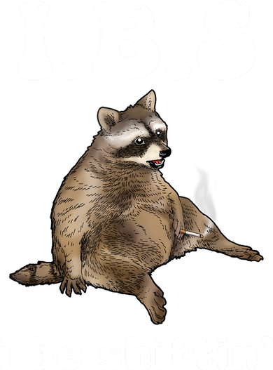 Ibs I Be Shittin Cute Raccoon Funny Coaster
