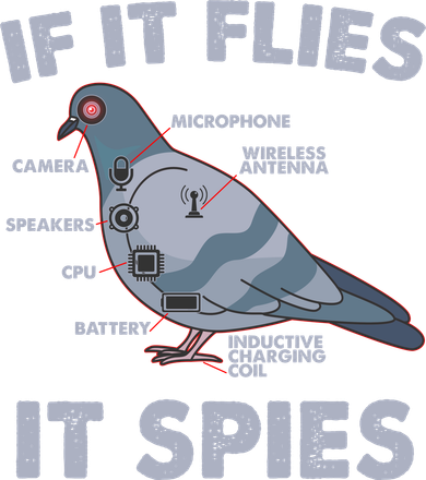If It Flies It Spies Toddler Sweatshirt