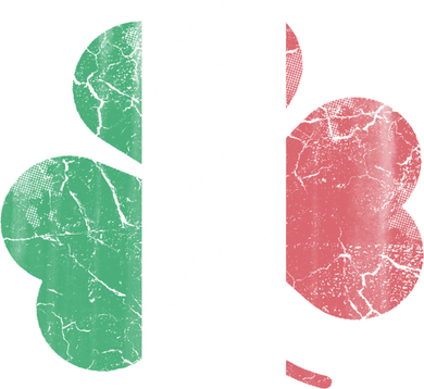 Irish Italian Flag Shamrock Italia Gift Doddie Hoodie