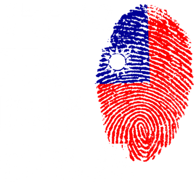 Its In My Dna Taiwan Flag Gift Hoodie
