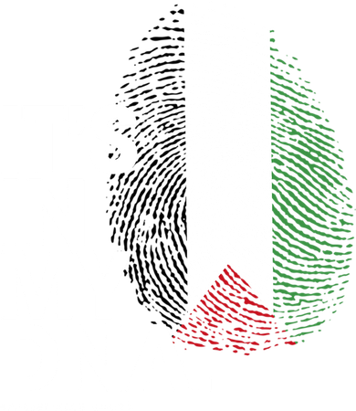 ItS In My Dna Palestine Flag Cool Gift Palestinian Roots Gift Women's Sweatshirt
