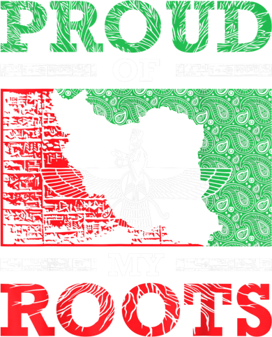 Iran Iranian Persian Irani Flag Iran Roots Farsi Irani Iran Women's Hoodie