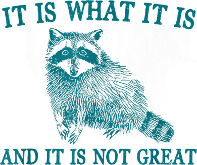 It Is What It Is And It Is Not Great Raccoon Kids Hoodie