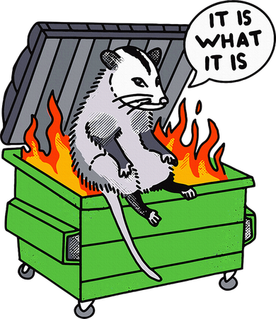 It Is What It Is Possum Dumpster Fire Baby Bodysuit