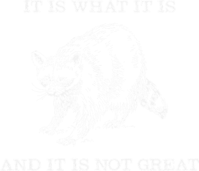 It Is What It Is And It Is Not Great Funny Raccoon Meme Kids Sweatshirt