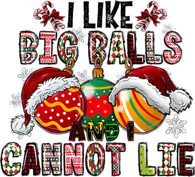 I Like Big Balls And Cannot Lie Funny Christmas Funny Gift Women's Long Sleeve Shirt
