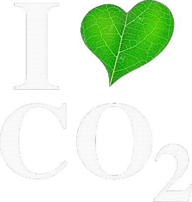 I Love Co2 Carbon Dioxide Climate Change Hoax Global Warming Tote Bag