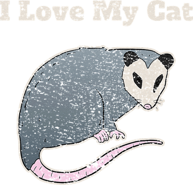 I Love My Cat Funny Opossum Vintage Long Sleeve Shirt