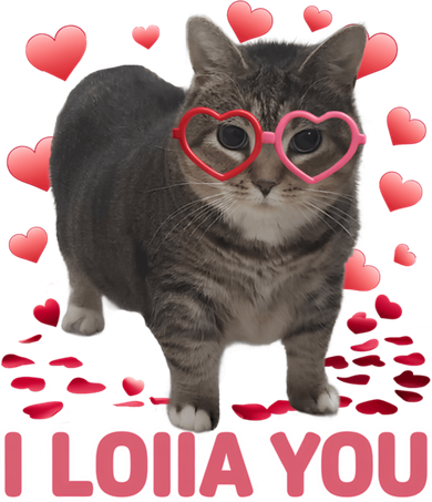 I Love You Oiia Cat Funny Spinning Cat Valentines Day Gift Women's Hoodie