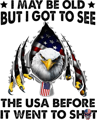 I May Be Old But I Got To See The Usa Before It Went To Shit Toddler Hoodie