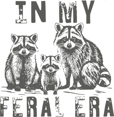 In My Feral Era Racoons Meme Women's Long Sleeve Shirt