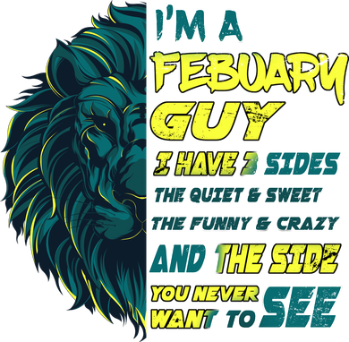 February Birthday Guy Has 3 Sides Sweet Funny Crazy  Doddie Hoodie