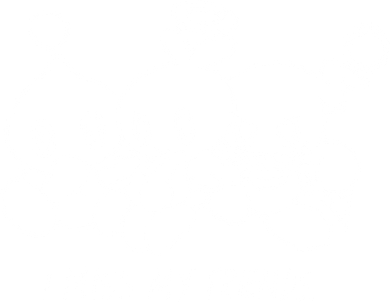 I Miss My Friends Normal Chao Hero Chao And Dark Chao Coaster
