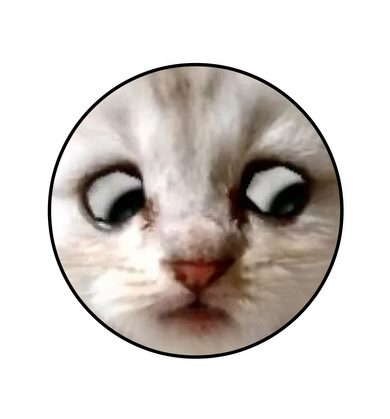 Funny Zoom Lawyer Cat Meme I'm Here Live I'm Not A Cat Women's Tank Top