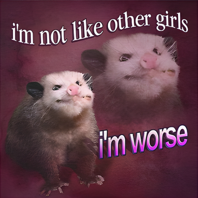 I_m Not Like Other Girls I_m Worse Opossum Kids T-Shirt
