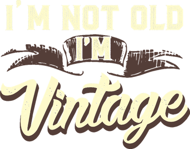 Im Not Old Im Vintage Funny Adults Dad 60S Sarcastic Toddler Hoodie
