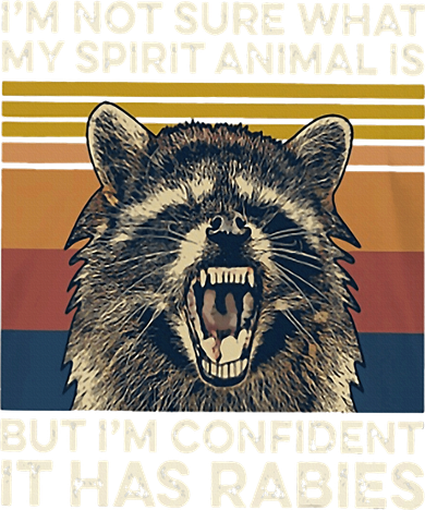 IM Not Sure What My Spirit Animal It Has Rabies Women's Sweatshirt
