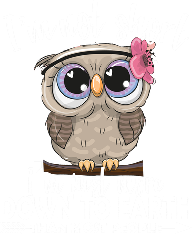 I'm Not Short I'm Just More Down To Earth Owl Doddie Hoodie