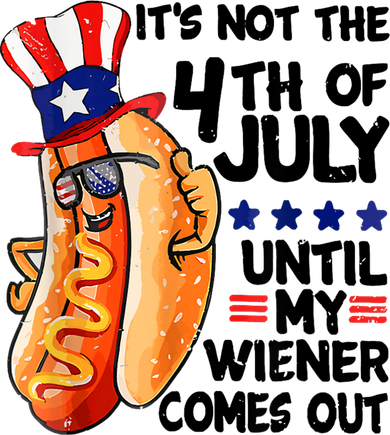 Its Not The 4th Of July Until My Weiner Comes Out Kids Hoodie