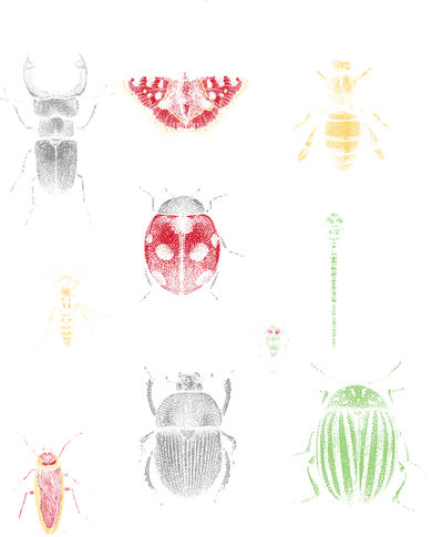 Insects Of The World Tote Bag